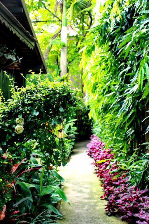 Club One Seven Gaymen Chiang Mai Hotell Rum bild